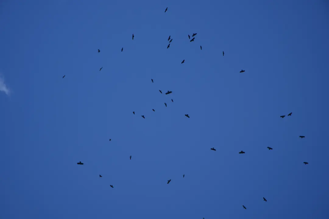 四姑娘山大峰-3